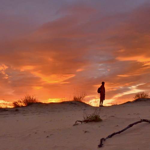 Photo #10891394