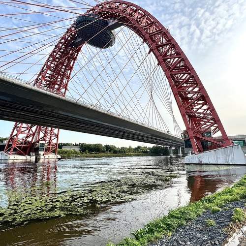 Photo #10891757