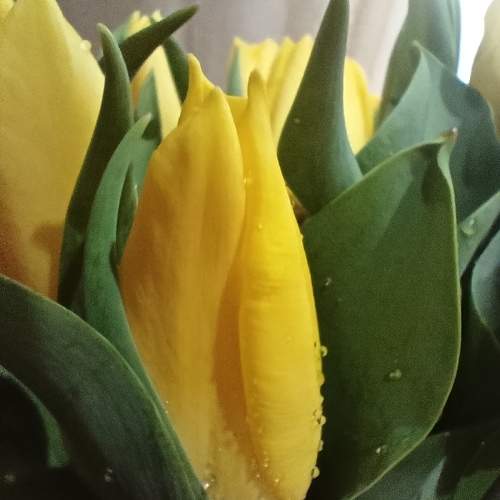 Photo #10891786