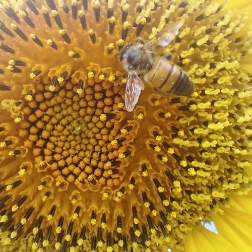 Photo #10891792