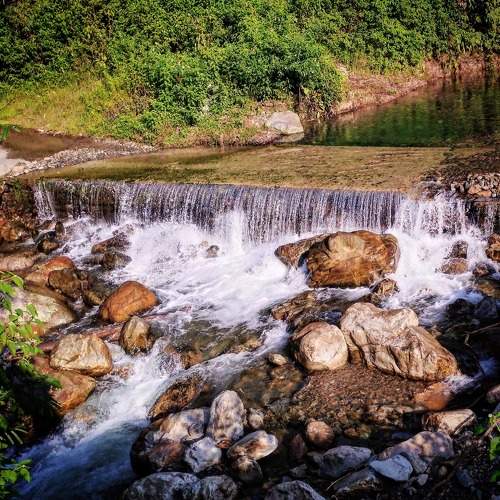 Photo #10891883
