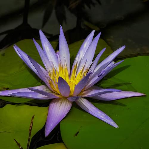 Photo #10892084