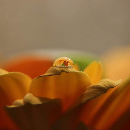 Photo #10892468