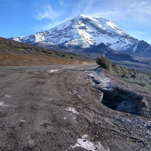Photo #10892875