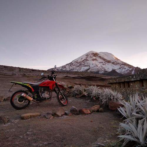 Photo #10892882