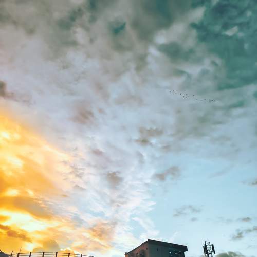 Photo #10893071