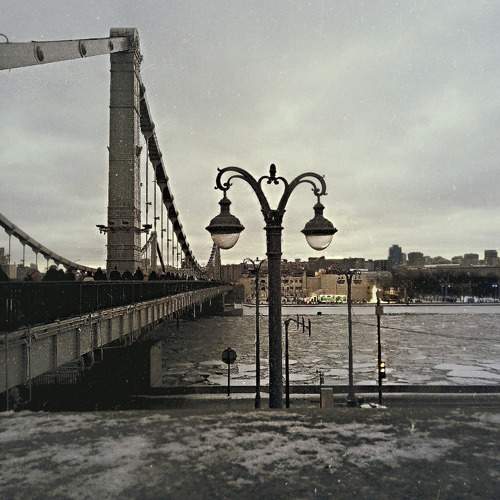 Photo #10893135