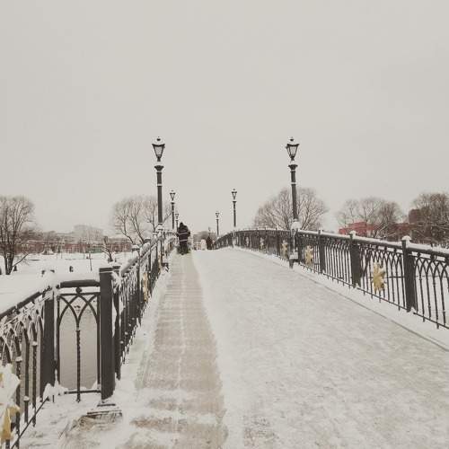 Photo #10893138