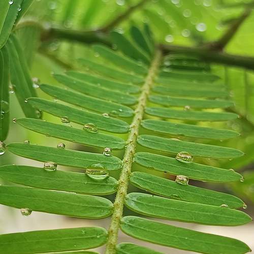 Photo #10893209