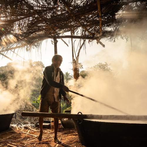 Jaggery Makers of Goa