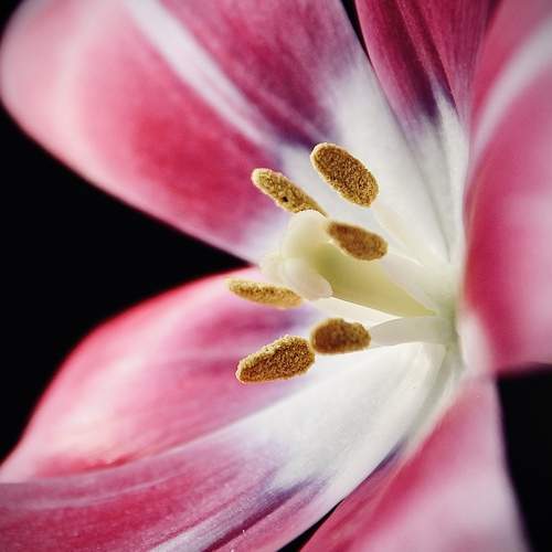 Photo #10893538