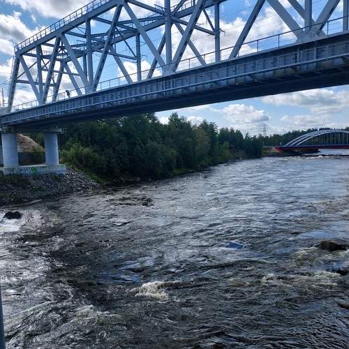 Photo #10893695
