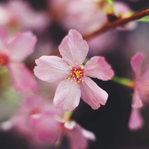 Photo #10893714