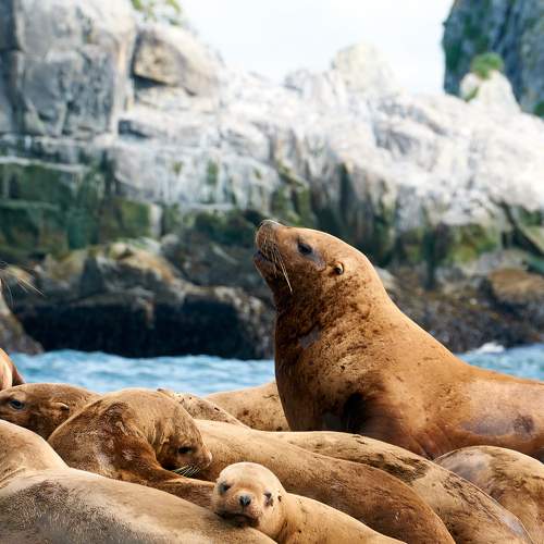 Photo #10893747
