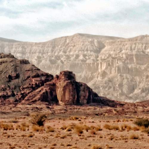 Photo #10894116