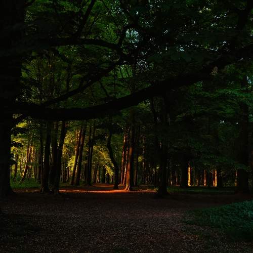 Photo #10894231