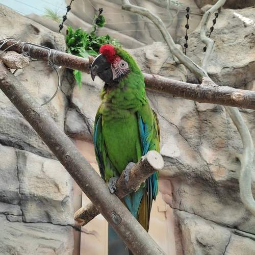 Photo #10894288
