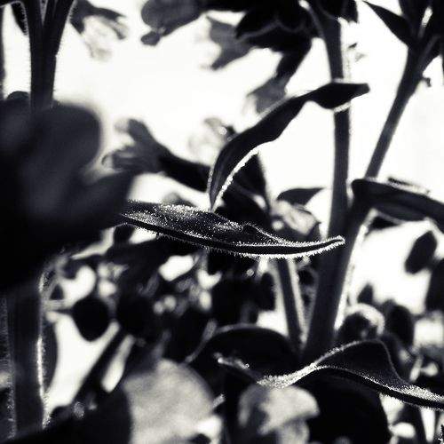 Photo #10894362