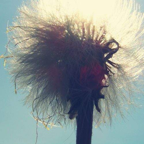 Photo #10894366