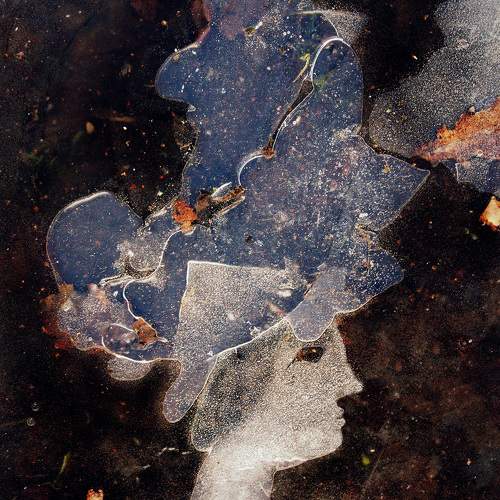 Photo #10895119