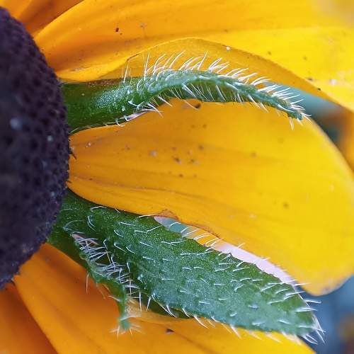 Photo #10895361