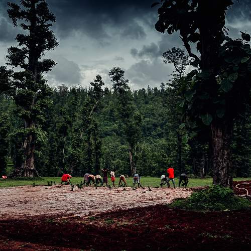 Photo #10895507