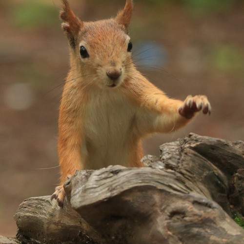 Photo #10895757