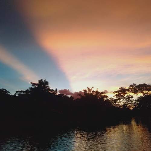 Photo #10895933