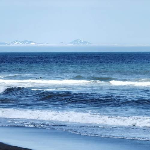 Photo #10895997