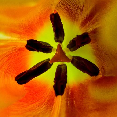 Photo #10896098