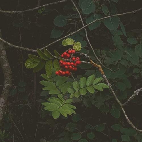 Photo #10896509