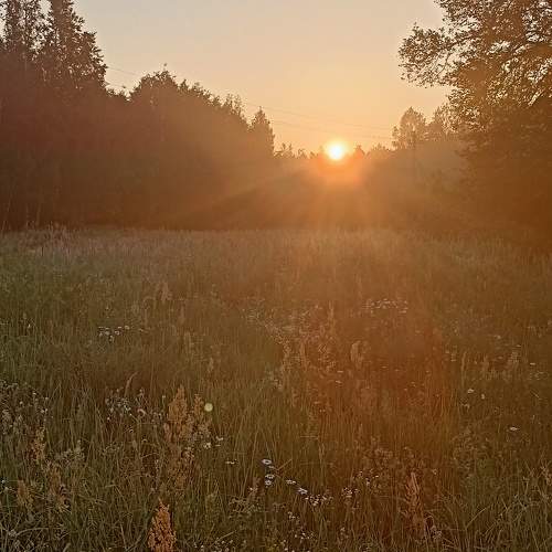 Photo #10896721