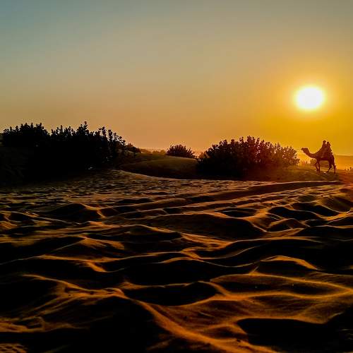 Photo #10897159