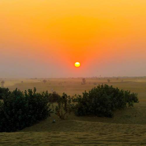 Photo #10897178
