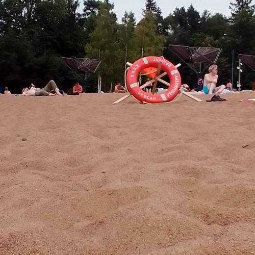 Photo #10897290