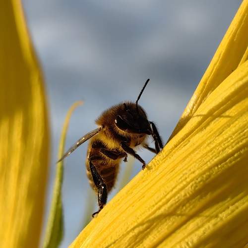 Photo #10897820