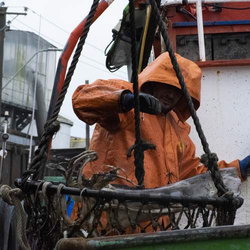 Photo #10898053