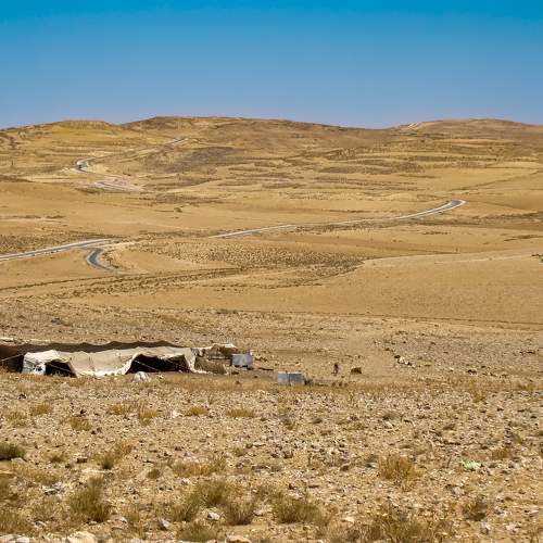 Фотография #10898365