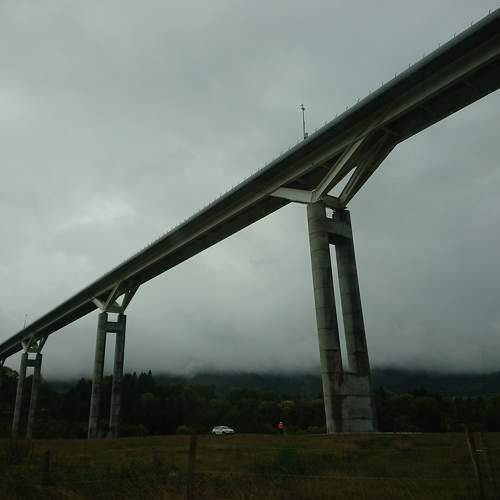 Photo #10898719