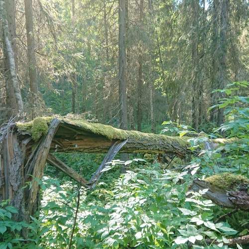 Photo #10898731