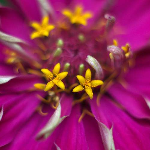 Photo #10899630
