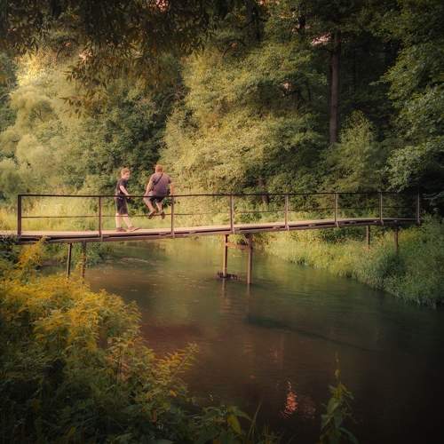Photo #10899652