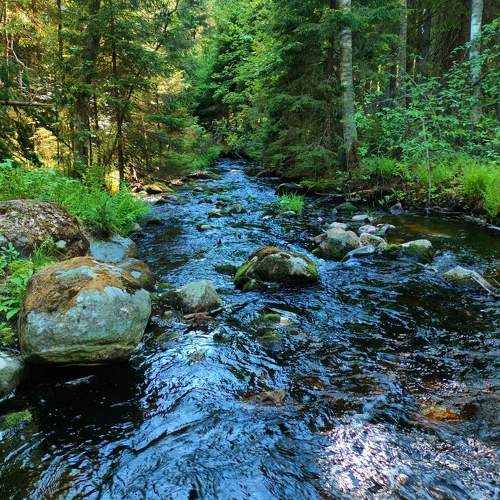 Photo #10899882