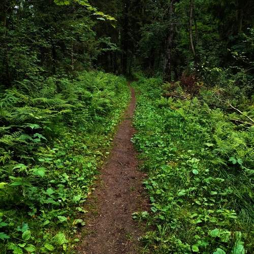 Photo #10899890