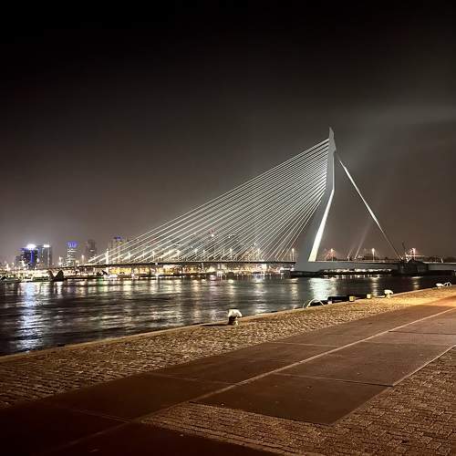 Photo #10899955