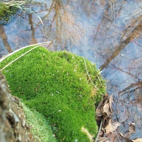 водные параллели