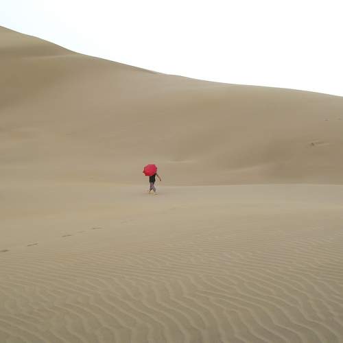 Photo #10900031
