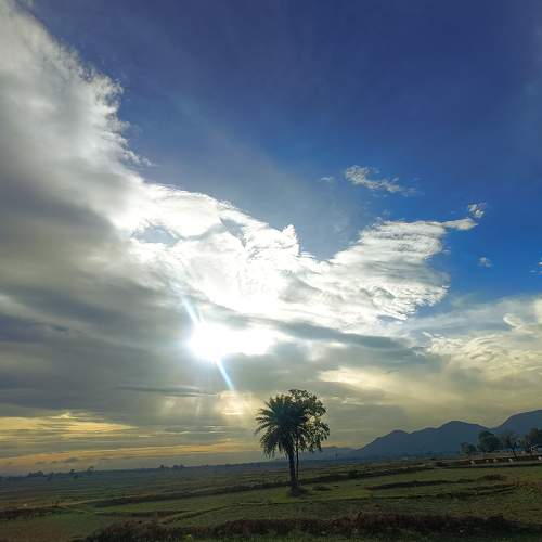 Photo #10900108