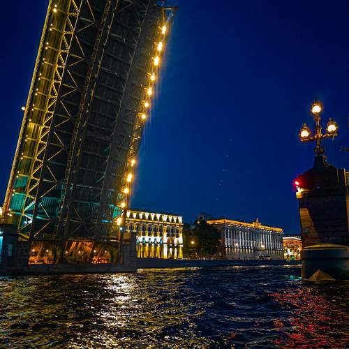 Photo #10900668