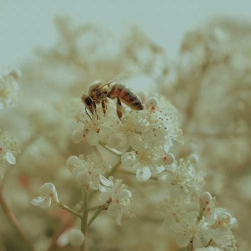Photo #10900976